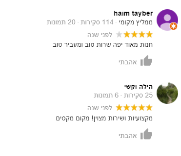 גוגל3